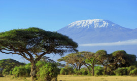 Туры в Танзанию