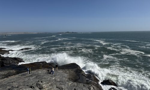 IMG_8351