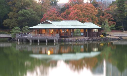 shino-nakamura-N-AJCrcDITk-unsplash