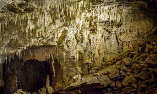 waitomo3