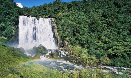 waitomo4