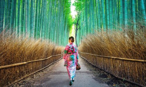 arashiyama-bamboo-forest-kyoto-guide-13