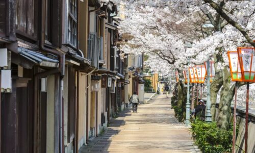 kanazawa-sakura2