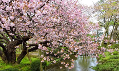 kenrokuen8